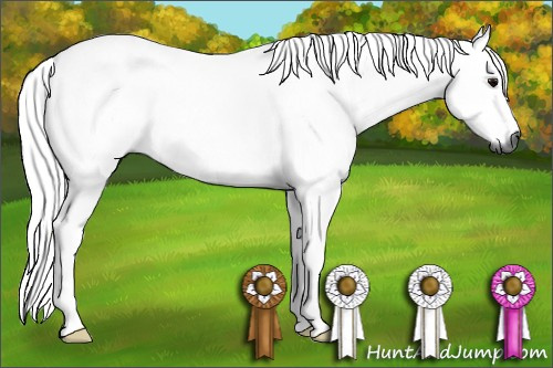 Horse Color:Gray Silver Blue Roan Rabicano 