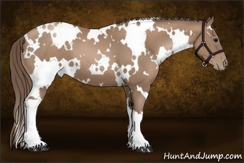 Horse Color:White Spotted Black Pearl 