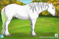 Horse Color:Watercolor Liver Chestnut Ice Sabino Appaloosa 