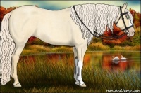 Horse Color:Gold Cream Champagne Roan Dun 