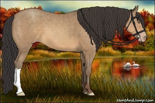 Horse Color:Sable Champagne 