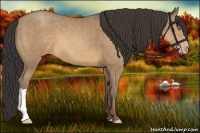 Horse Color:Sable Champagne 