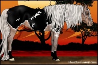 Horse Color:Silver Bay Snowcap 