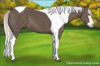 Horse Color:Silver Black Splash Tobiano 