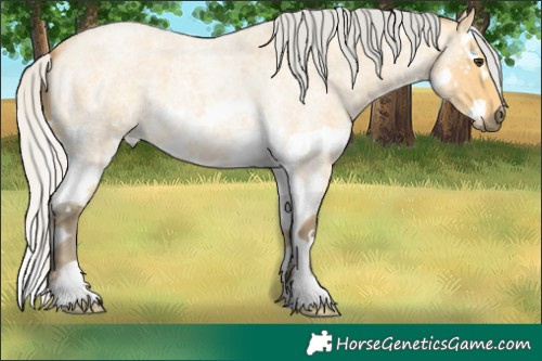 Horse Color:Silver Buckskin Roan Splash 