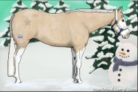 Horse Color:Silver Buckskin Roan Splash 