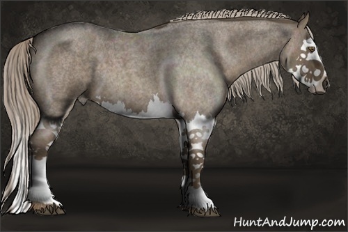 Horse Color:Chocolate Palomino Roan Splash