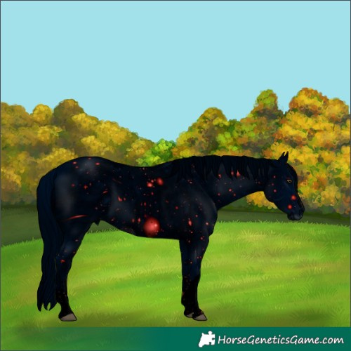 Horse Color:ERROR: UNKNOWN ANOMALY