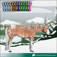 Horse Color:Silver Bay Ice Sabino Splash Tobiano 