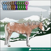 Horse Color:Silver Bay Ice Sabino Splash Tobiano