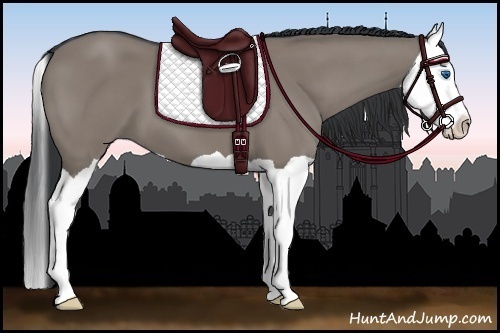 Horse Color:Grullo Splash 