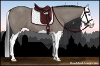 Horse Color:Grullo Splash 