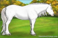 Horse Color:Chocolate Palomino Pearl Dun Tobiano Near Leopard 