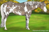 Horse Color:White Spotted Silver Smoky Black Sabino