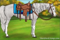 Horse Color:Silver Black Splash Appaloosa