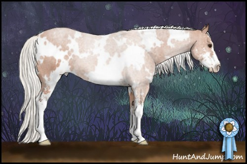 Horse Color:White Spotted Silver Bay Sabino 