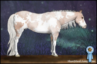 Horse Color:White Spotted Silver Bay Sabino
