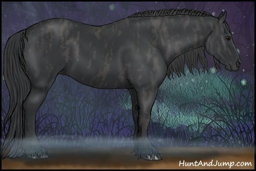 Horse Color:Black  Brindle