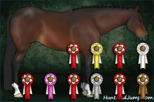 Horse Color:Gray Brown 