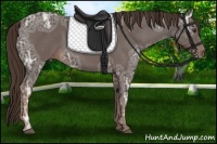 Horse Color:Liver Chestnut Ice 