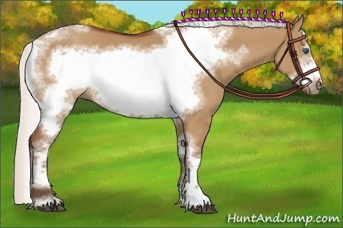 Horse Color:Silver Bay Dun Sabino Tobiano Frame Rabicano 