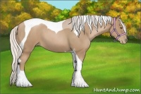 Horse Color:Silver Black Pearl Tobiano