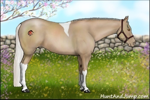 Horse Color:Silver Black Pearl Tobiano 