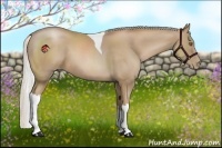 Horse Color:Silver Black Pearl Tobiano 