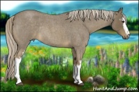 Horse Color:White Spotted Chocolate Palomino Roan Rabicano