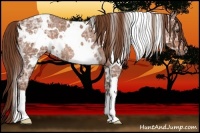 Horse Color:White Spotted Red Ice Roan Rabicano