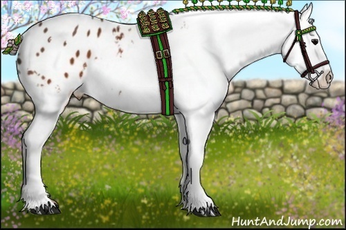 Horse Color:White Spotted Brown Varnish 