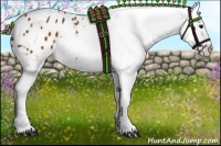 Horse Color:White Spotted Brown Varnish 