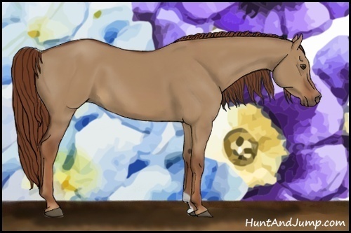 Horse Color:Red Dun 
