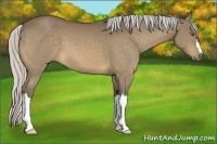 Horse Color:Silver Buckskin
