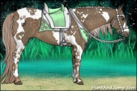 Horse Color:Chocolate Palomino Tobiano 