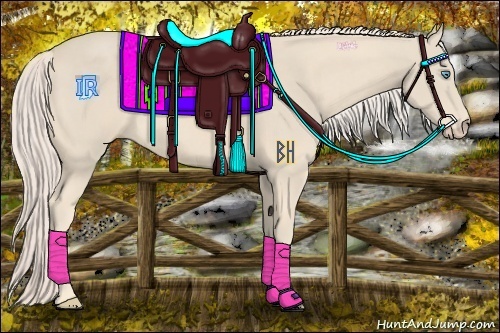 Horse Color:Cremello 