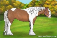 Horse Color:Silver Bay Splash Tobiano