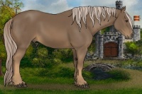 Horse Color:Chocolate Palomino 