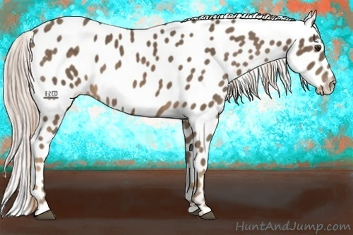 Horse Color:Chocolate Palomino Blanket
