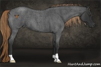 Horse Color:Liver Red Roan 
