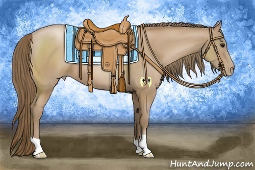 Horse Color:Black Pearl