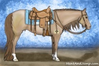 Horse Color:Black Pearl 