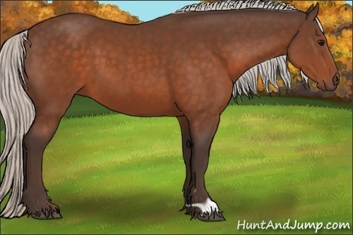 Horse Color:Silver Brown