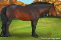 Horse Color:Brown 