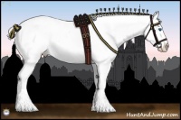 Horse Color:White Spotted Silver Smoky Black Splash Appaloosa 