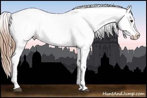 Horse Color:Chestnut Near Leopard 
