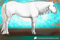 Horse Color:Chocolate Palomino Ice Tobiano Appaloosa 