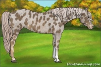 Horse Color:Chocolate Palomino Varnish