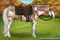 Horse Color:Silver Bay Sabino 