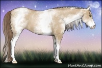 Horse Color:White Spotted Grullo Pearl 